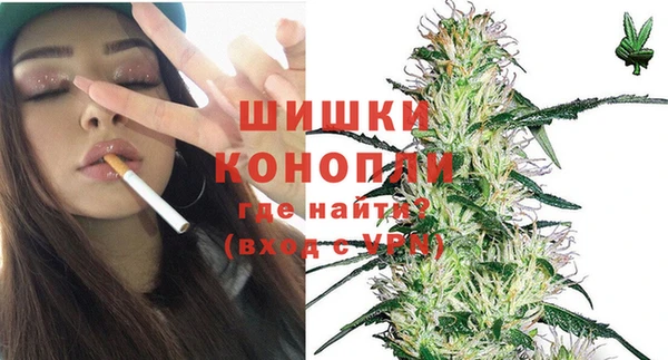 стаф Волоколамск