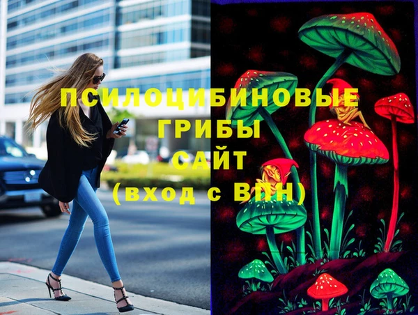 стаф Волоколамск