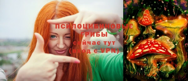 стаф Волоколамск