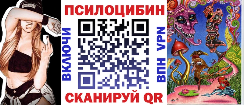 закладка  Вуктыл  Псилоцибиновые грибы Cubensis 